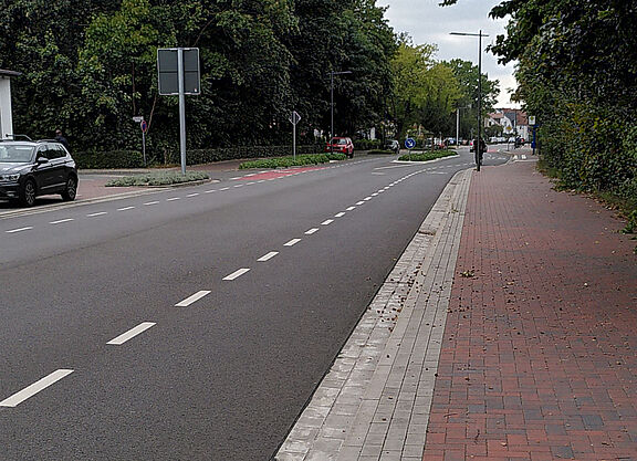Fahrradschutzstreifen DH